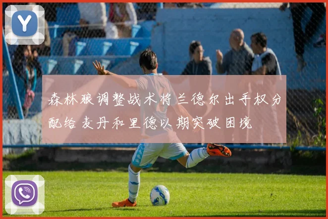 森林狼调整战术将兰德尔出手权分配给麦丹和里德以期突破困境